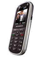 Best available price of Motorola WX288 in Gala